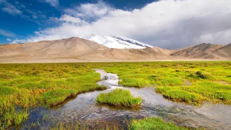 Serene Swamp Landscape Under Majestic Mountains wallpaper