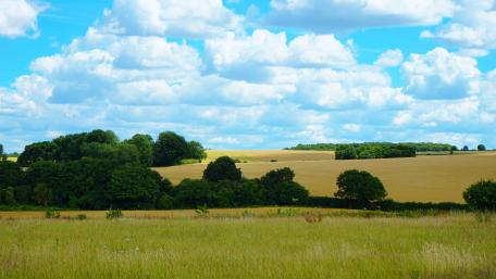 Vibrant Countryside Bliss in 5K Resolution wallpaper