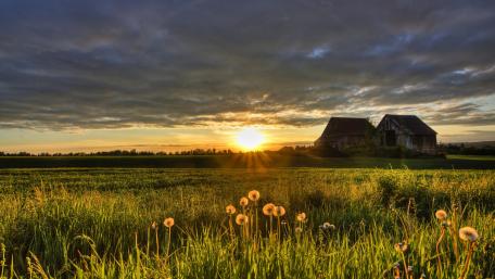 Golden Sunset Over Serene Grassland Farm wallpaper