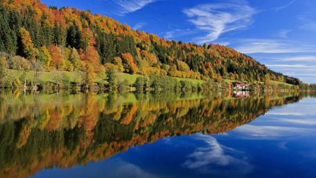 Vibrant Autumn Reflections on a Serene Lake wallpaper