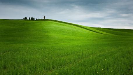 Vibrant Green Hill Landscape in Nature's Embrace wallpaper