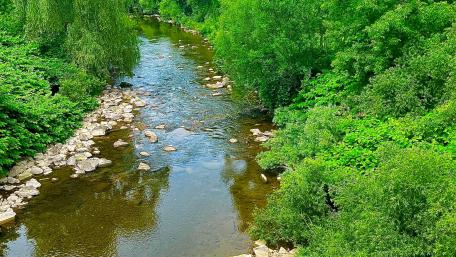 A view of the creek wallpaper
