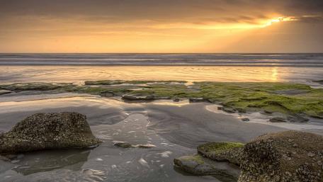 Serene Sunset Over Algae-coated Shoreline wallpaper