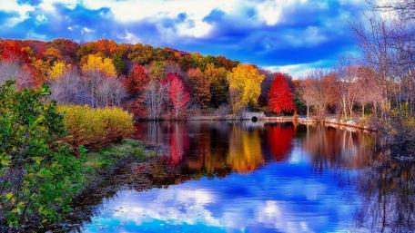 Autumn Symphony by the Lake wallpaper