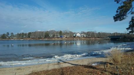 Swany Cove wallpaper