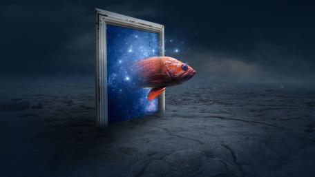 Surreal Fish Beyond the Window of Imagination wallpaper