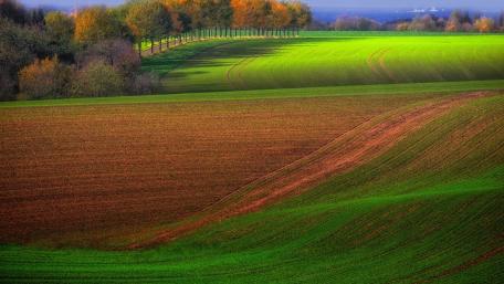 Lush Green Countryside Landscape wallpaper