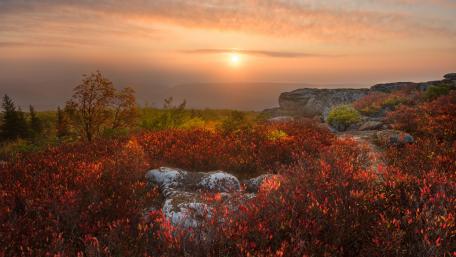 Autumn Serenity in Nature's Embrace wallpaper