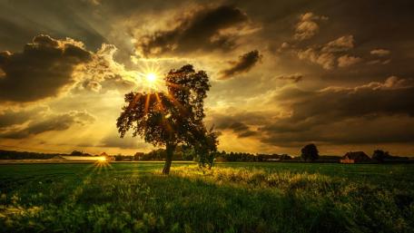 Majestic Sunset Over a Serene Landscape wallpaper