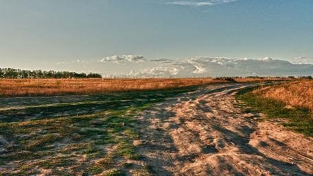 Serene Nature Pathway in Golden Hour Light wallpaper