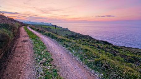 Serene Coastal Pathway at Dusk wallpaper