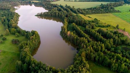 Serene River Curving Through Lush Greenery wallpaper