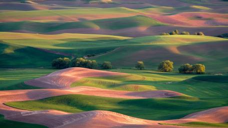 Rolling Hills of Serenity wallpaper