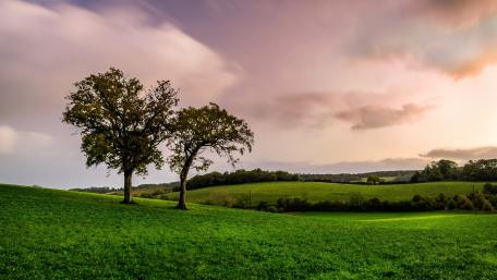 Serene Sunset Over Rolling Green Hills wallpaper
