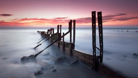 Timeless Serenity of the Shoreline wallpaper