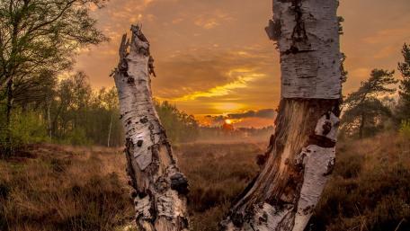 Serene Sunset Over Nature's Embrace wallpaper