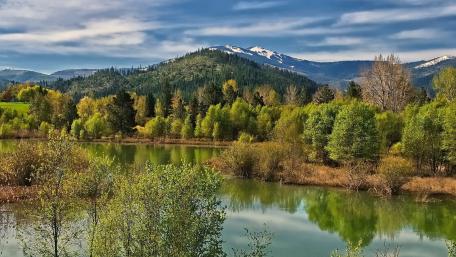 Serene Reflection of Nature's Beauty wallpaper