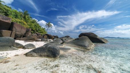 Serene Tropical Paradise by the Shoreline wallpaper