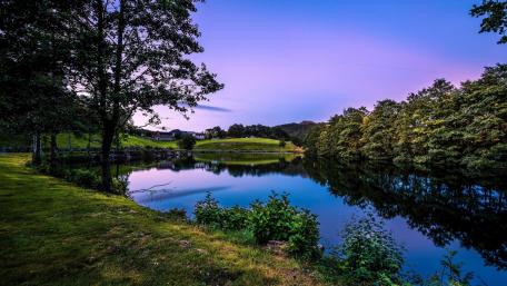 Serene Reflection of Nature at Dusk wallpaper