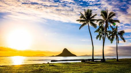 Tropical Sunset Over Calm Waters with Palm Trees wallpaper