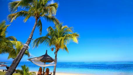 Tropical Paradise Under Clear Blue Skies wallpaper