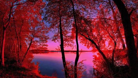 Crimson Autumn by the Lake wallpaper
