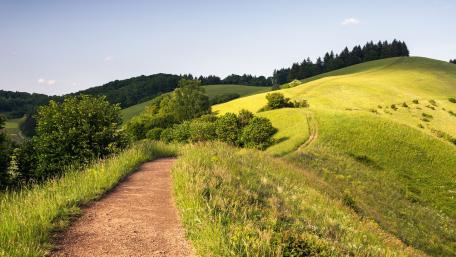 Tranquil Green Hillside Pathway Ahead wallpaper