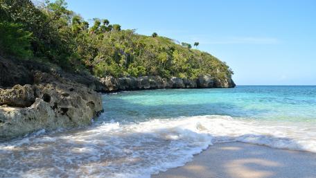 Serene Tropical Beach in Nature's Embrace wallpaper