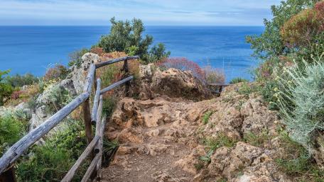 Serene Coastal Pathway Underneath Clear Blue Sky wallpaper