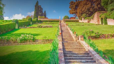 Stunning Garden Steps Leading to Serenity wallpaper