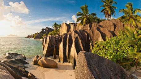 Tropical Serenity by the Shoreline wallpaper