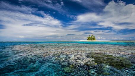 Tropical Paradise by the Azure Sea wallpaper