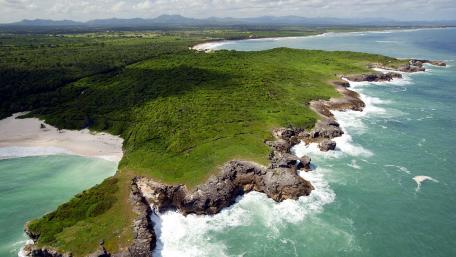 Serene Coastal Landscape with Vibrant Greenery and Waves wallpaper