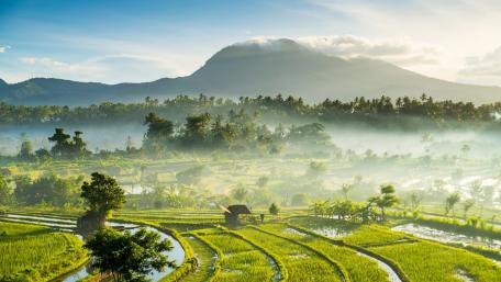 Tranquil Rice Terraces Under Misty Mountain Skies wallpaper