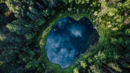 Serene Forest Lake View for Nature Lovers wallpaper