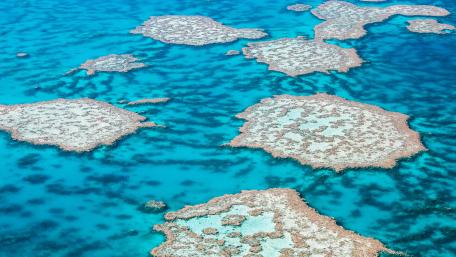 Vibrant Aerial View of Coral Embellished Waters wallpaper