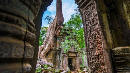 Ancient Ruins Embraced by Nature's Majesty wallpaper