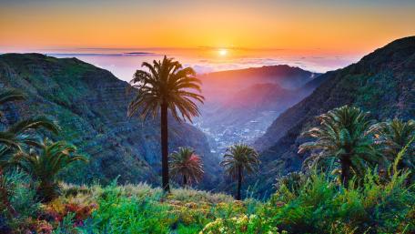 Serene Sunset Over Lush Mountains and Palm Trees wallpaper