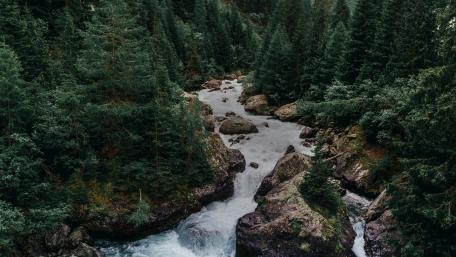 Serene Forest River Landscape wallpaper