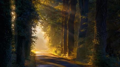path wallpaper