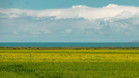 Landscape of Qinghai Lake wallpaper