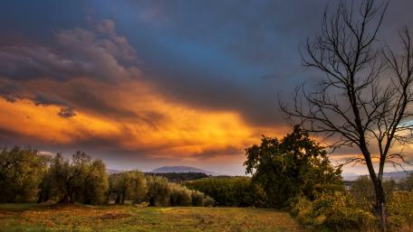 Breathtaking Sunset Over Serene Olive Grove wallpaper
