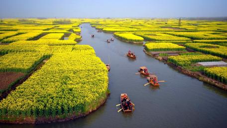 Golden Fields and Serene Waterscape wallpaper