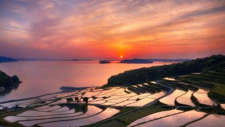 Serene Sunset Over Terraced Rice Fields wallpaper
