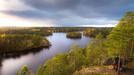 Majestic Serenity of Wilderness Views wallpaper