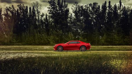 Sleek Red Car Amidst Lush Greenery wallpaper
