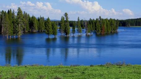 Tranquil Reflections of Nature's Beauty wallpaper