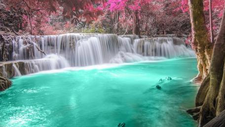 Serene Waterfall Oasis with Vibrant Colors wallpaper