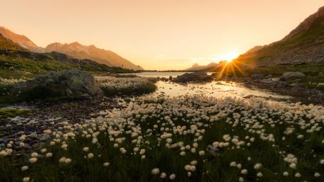 Serene Sunset Over Majestic Mountains wallpaper