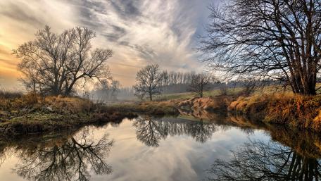 Serene Reflections in Nature's Embrace wallpaper
